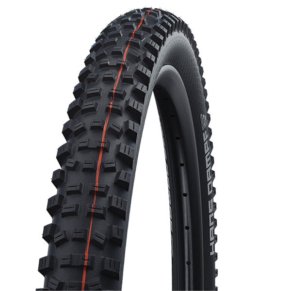 Schwalbe Hans Dampf 29 x 2.35 Super Gravity Addix Soft Evolution Line TL Easy
