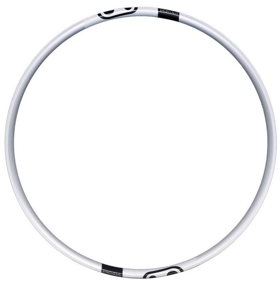 Crankbrothers Synthesis 29" Alloy Rear Rim 2.0 DH/E-MTB Silver