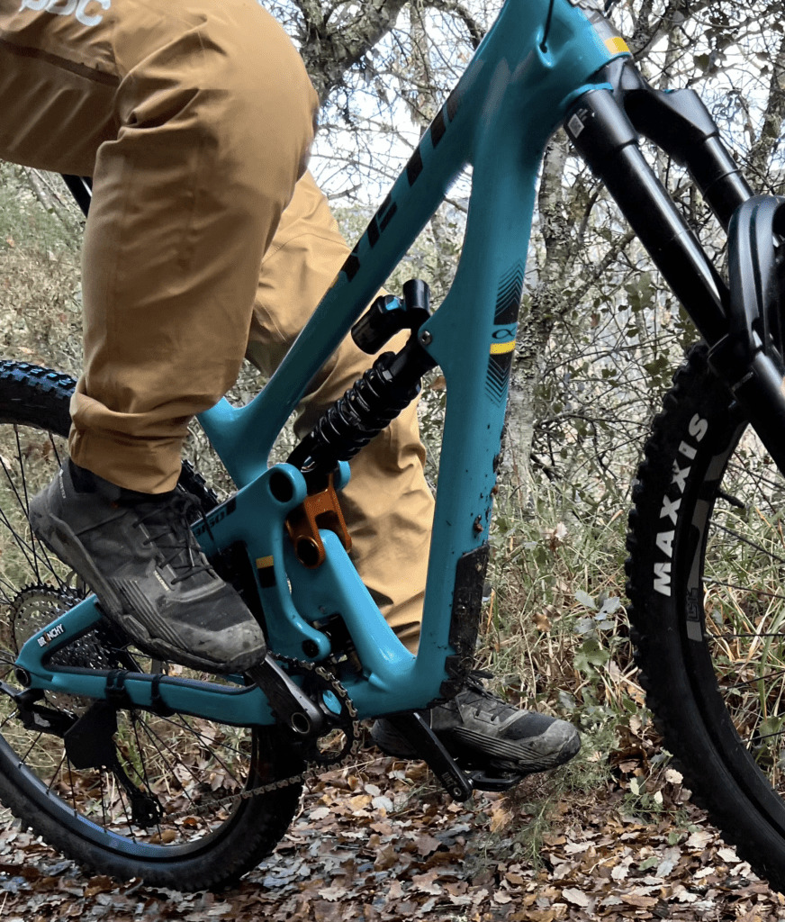 Branchy Derailleur Protector