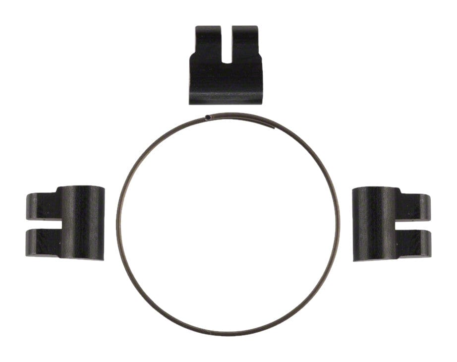 Campagnolo Fulcrum Freehub Body Pawl Set w/Spring