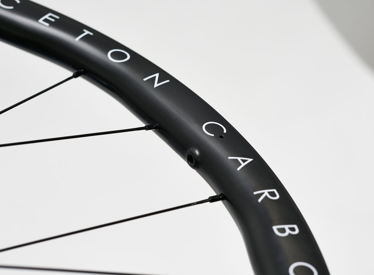 Princeton ALTA Disc Brake Tactic Racing TR01 Shimano Carbon Wheelset Black