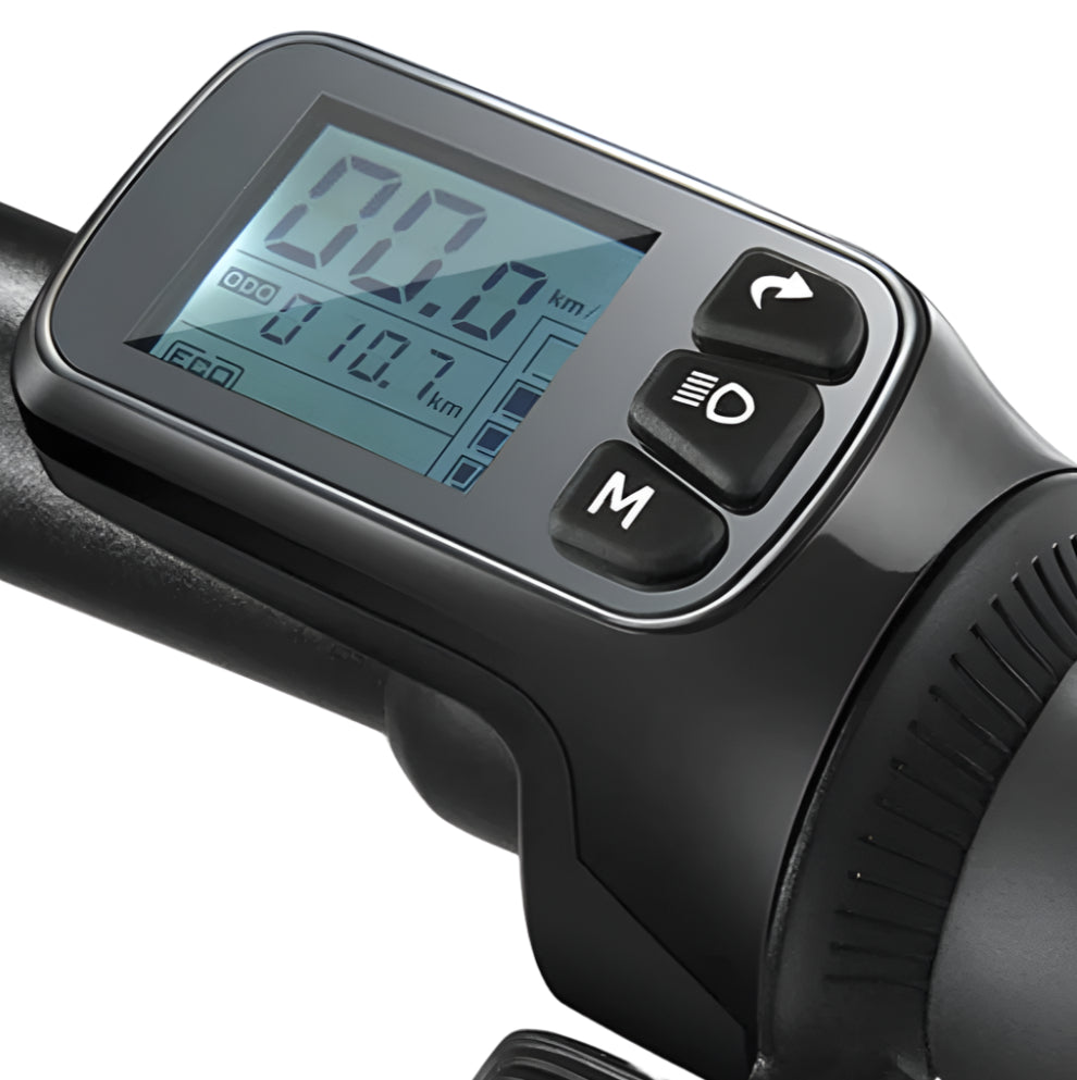 DYU D3+ Folding Electric Bike