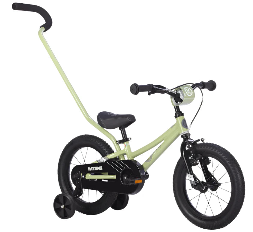 BYK E-250 MTBGx1 - Sage Green/Black