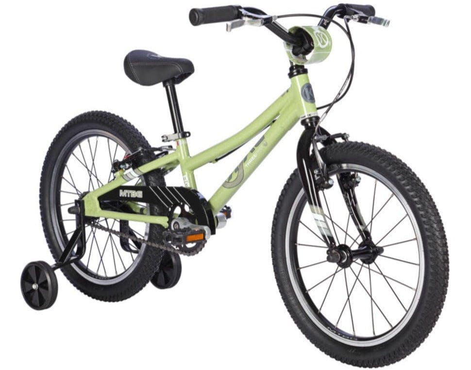 BYK E-350 MTBGx1 - Sage Green/Black