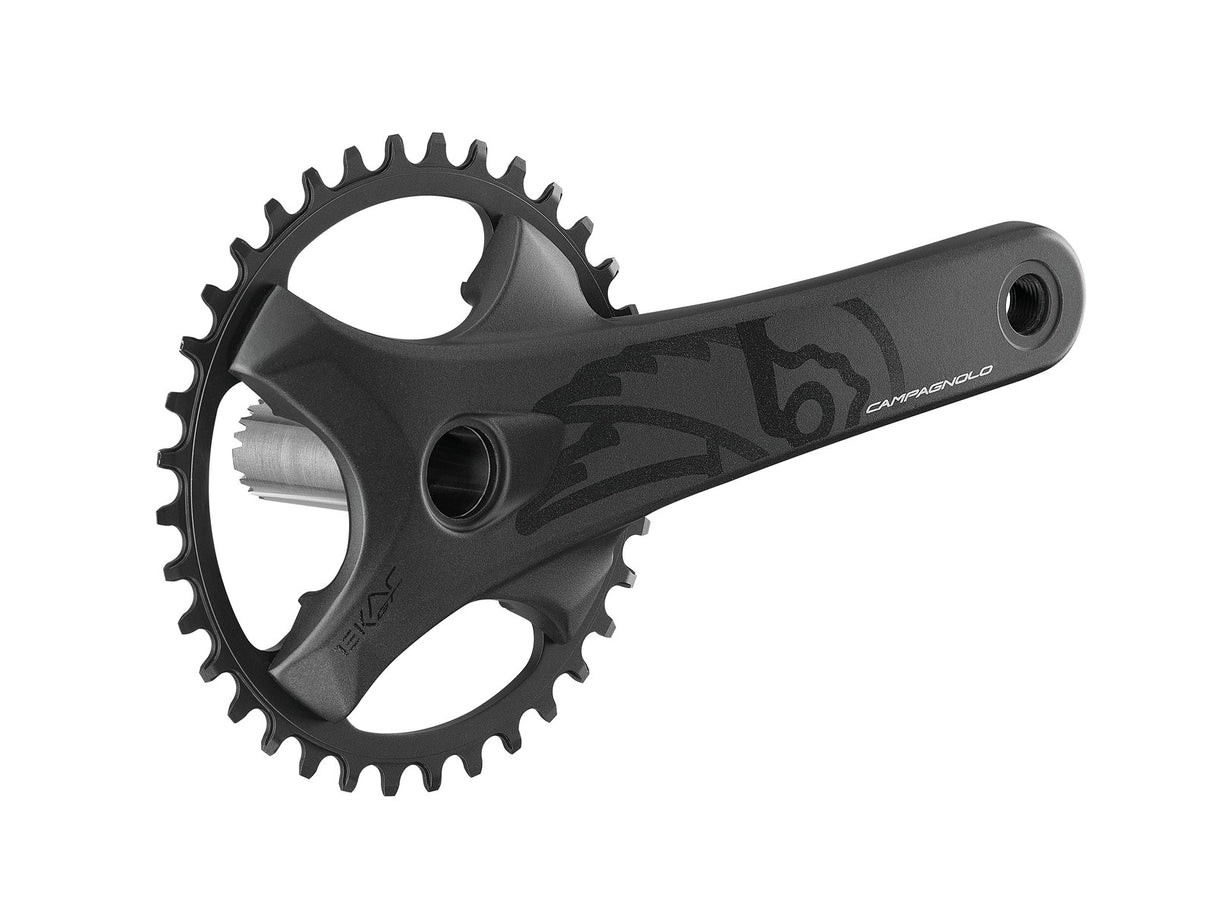 Campagnolo Ekar GT ProT 175mm Crankset (13-Speed)
