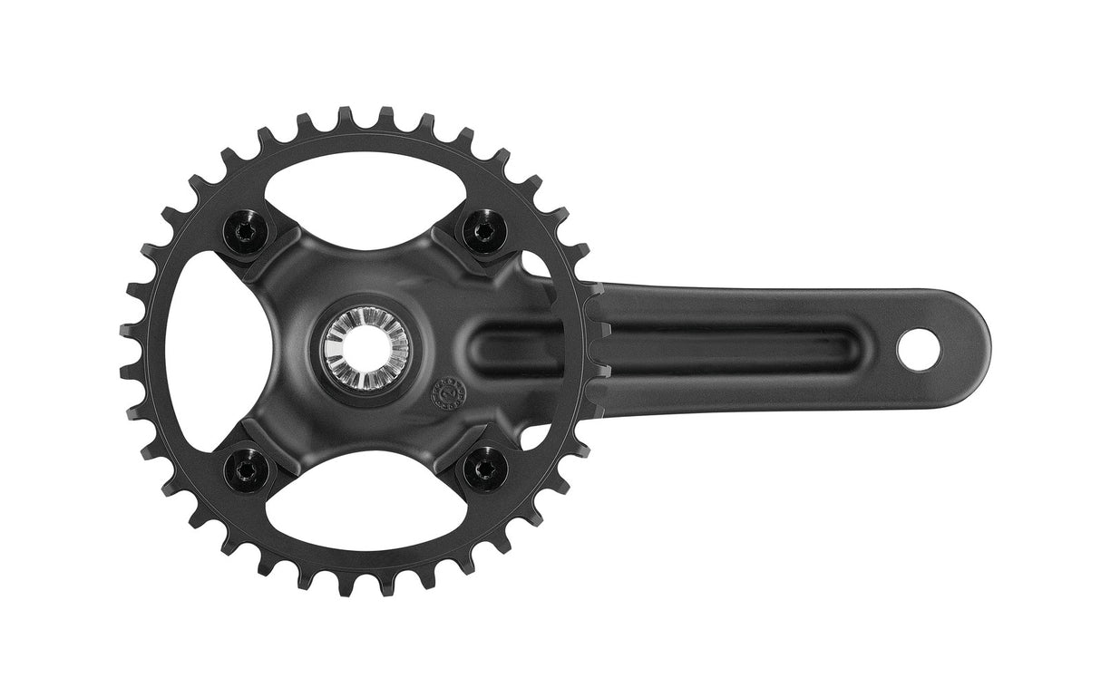 Campagnolo Ekar GT ProT 172.5mm Crankset (13-Speed)