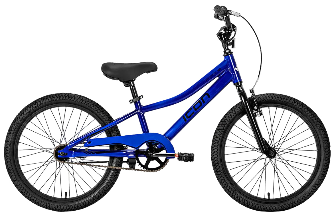 Icon Primal 20" Boys Bike Electric Blue