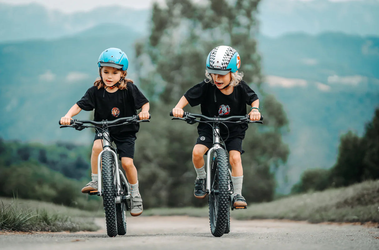 Early Rider Seeker 20" Kids Bike 2026