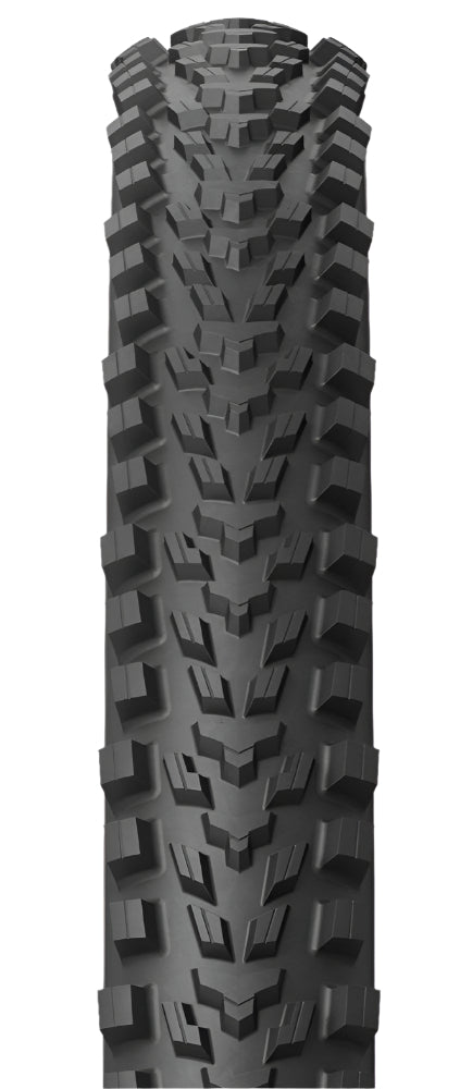 Michelin Wild Enduro Raceline Rear Dark 29"x2.4"