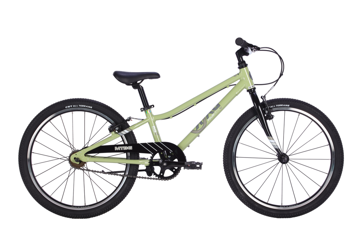 BYK E-450 MTBGx1 Sage Green/Black
