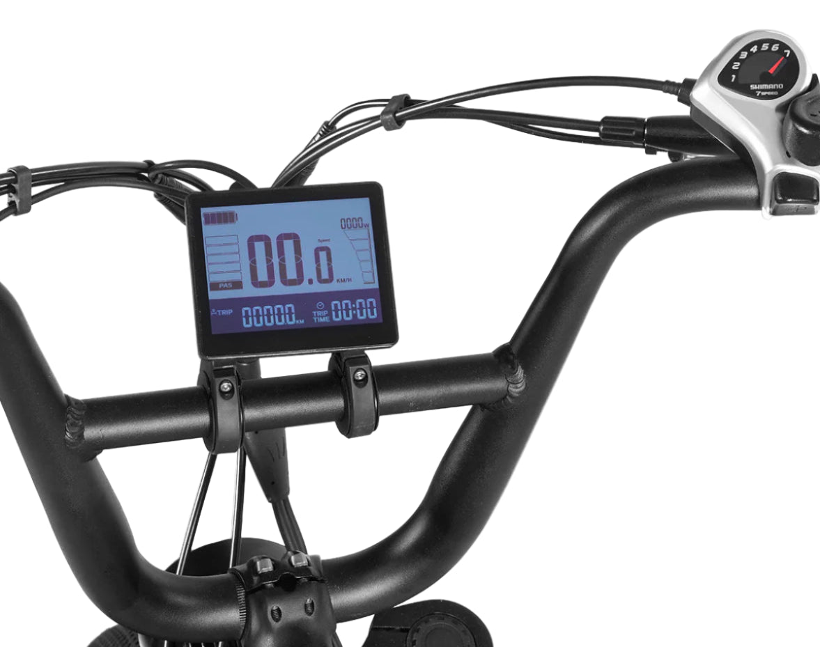 Progear E-Raptor 20" Electric Street Bike + Throttle