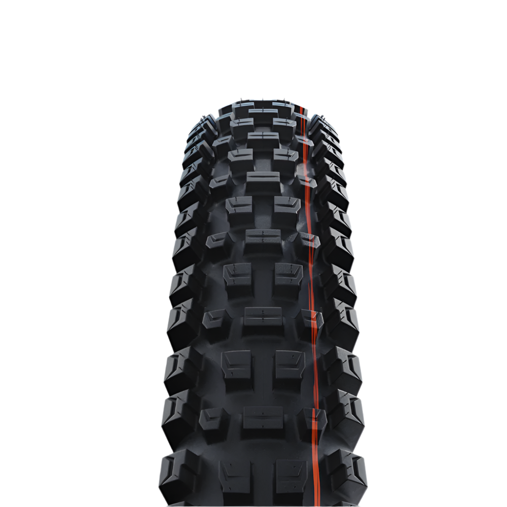 Schwalbe Albert Gravity Pro Radial Soft Compound Tubeless Tyre