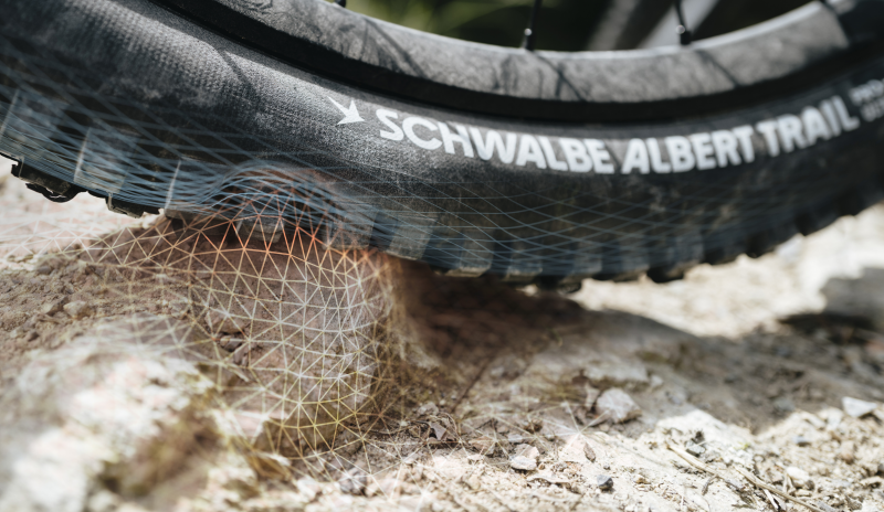 Schwalbe Albert Gravity Pro Radial Soft Compound Tubeless Tyre