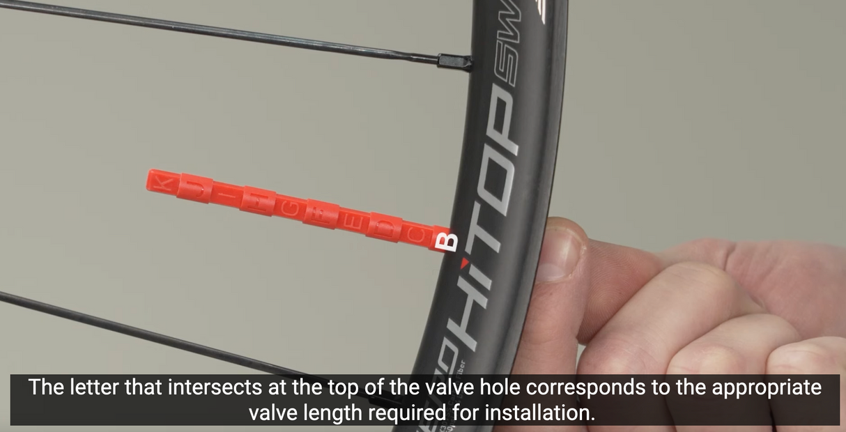 Quarq Tyrewiz 2.0 Valve Stem Pack