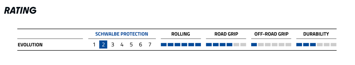 Schwalbe Wheelchair Dunk King 26 x 1.00" (25-590) Evolution Line White/Bordeaux Colour