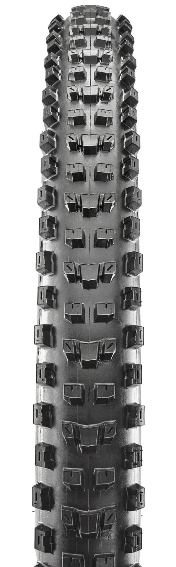 Maxxis DISSECTOR WT EXO TR FOLD 60TPI E-25 TYRE