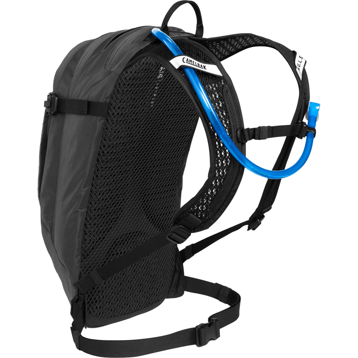 Camelbak Women'S M.U.L.E. 12 3L- Charcoal/Black