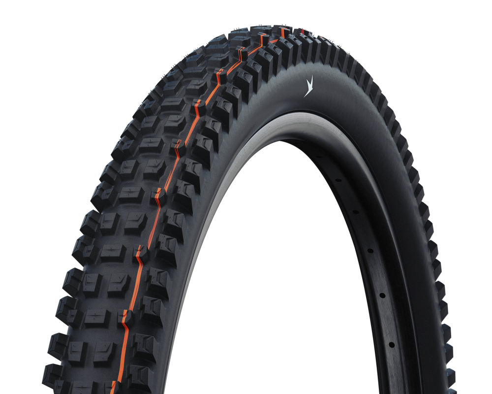 Schwalbe Albert Gravity Pro Radial Soft Compound Tubeless Tyre