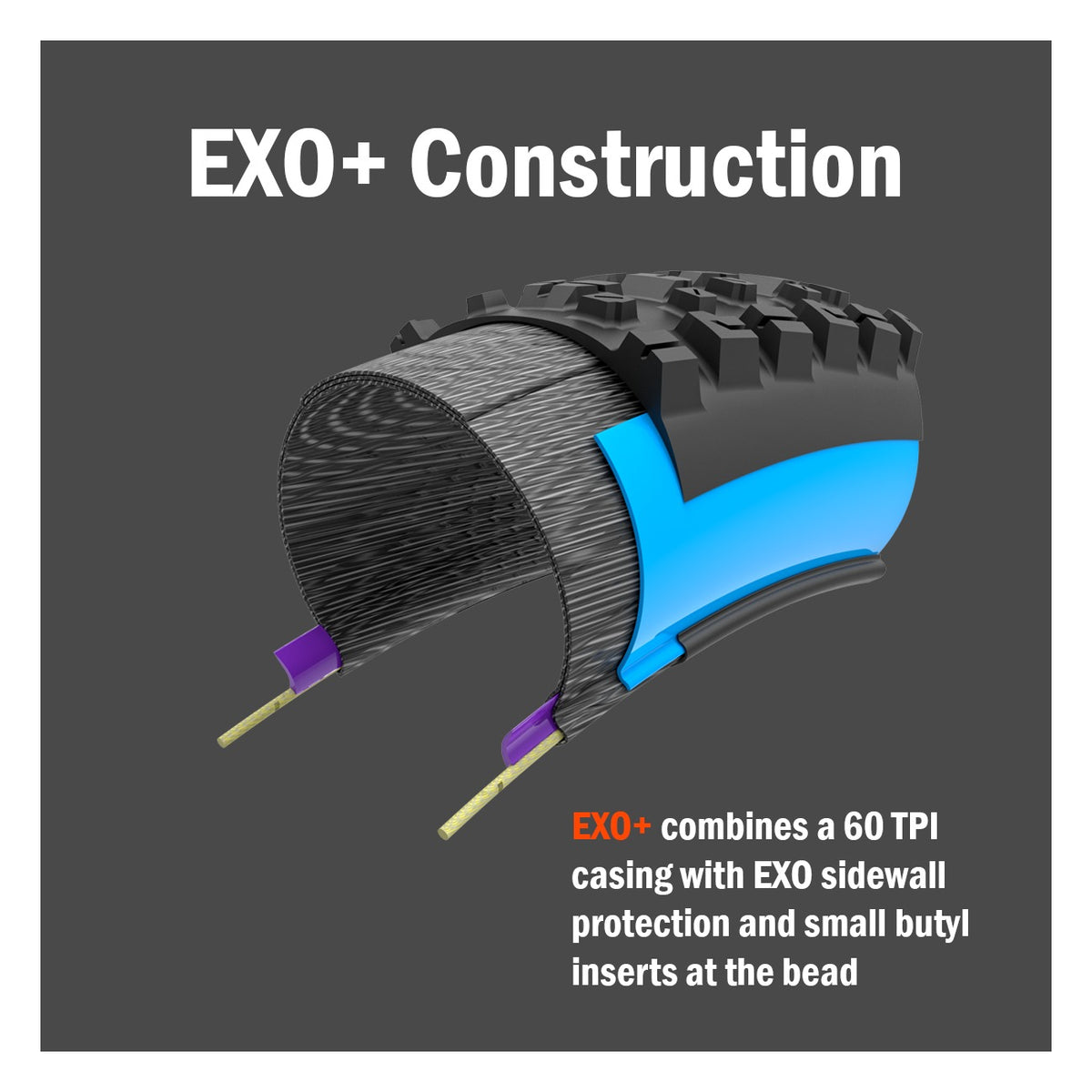 Maxxis Dissector G2 29 x 2.40" MaxxTerra EXO+ TR Folding 60TPI E-50 Tyre