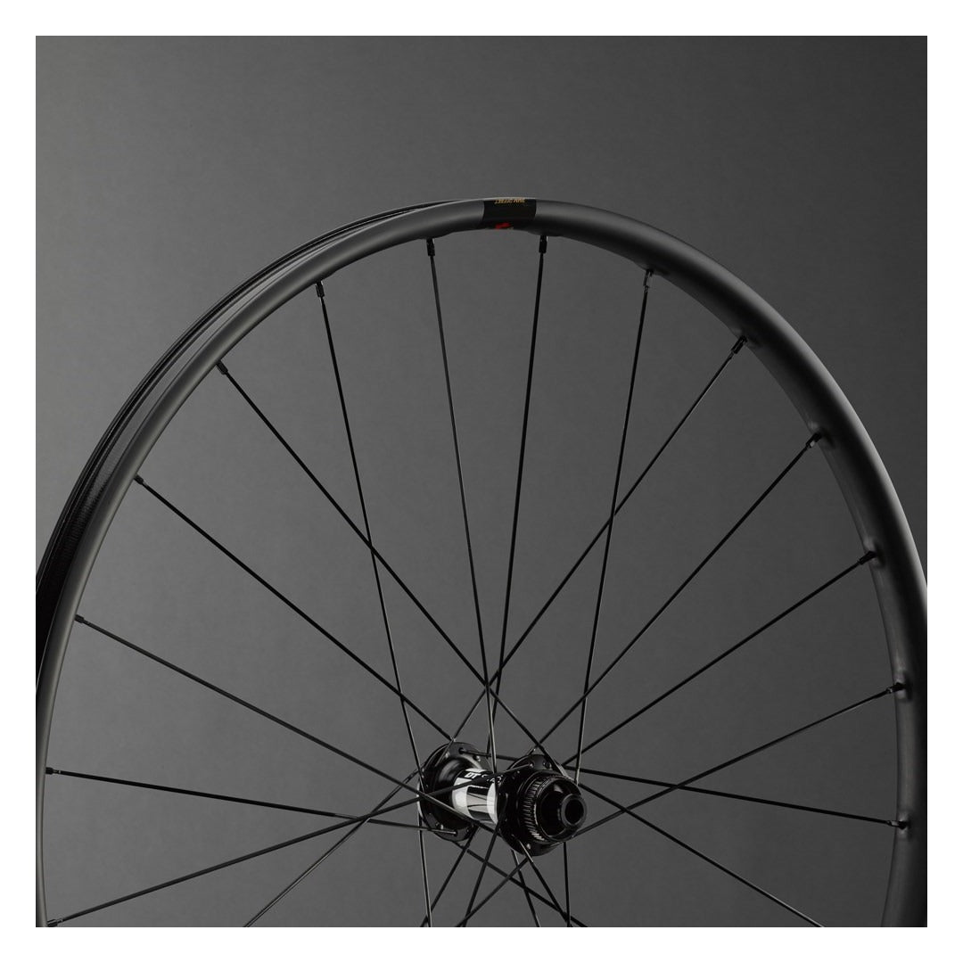 Reserve 22 Front Wheel 700c DT Swiss 350 100x12 Centrelock