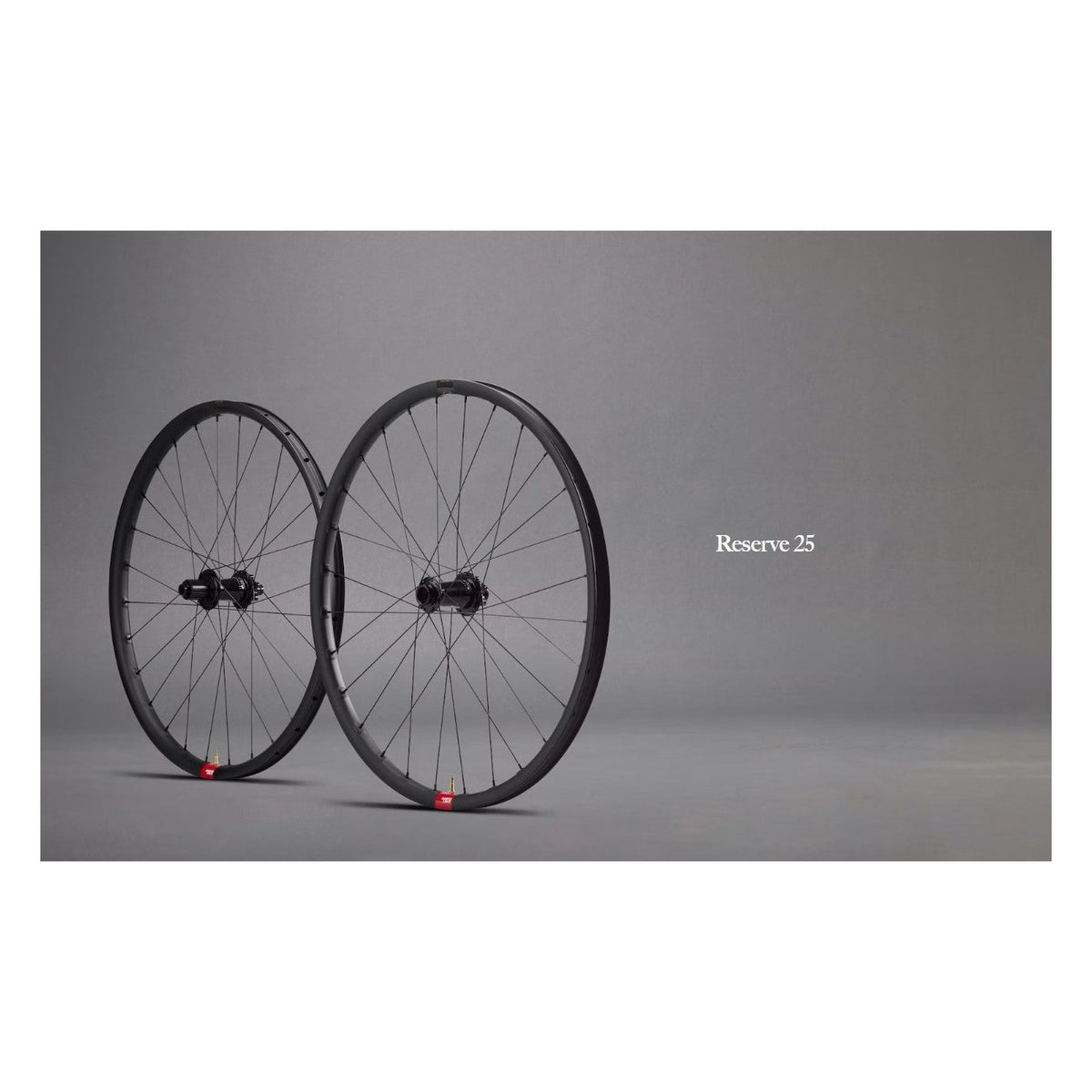 Reserve 25 Rim 650b 28 Hole