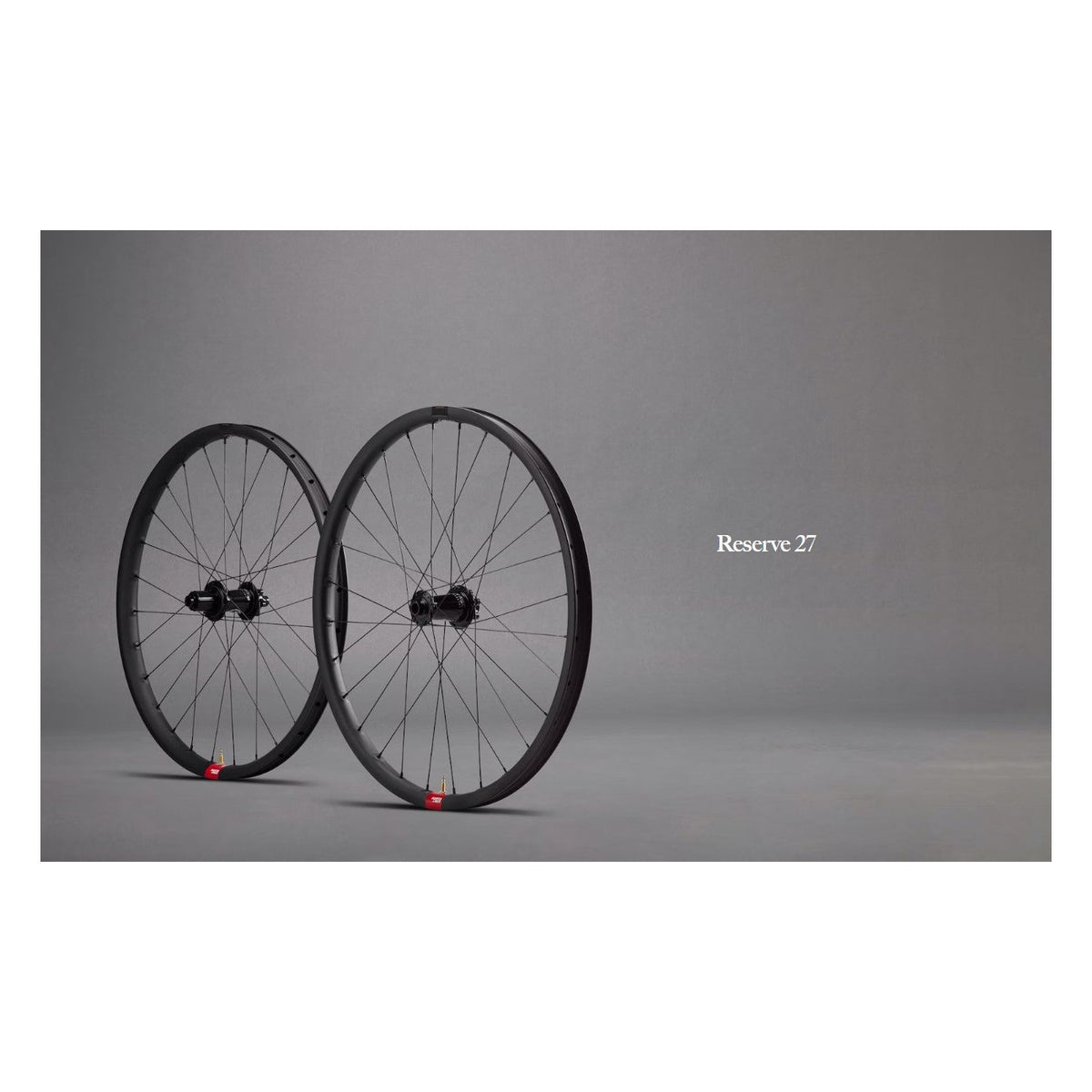 Reserve 27 Rim 27.5" 28 Hole