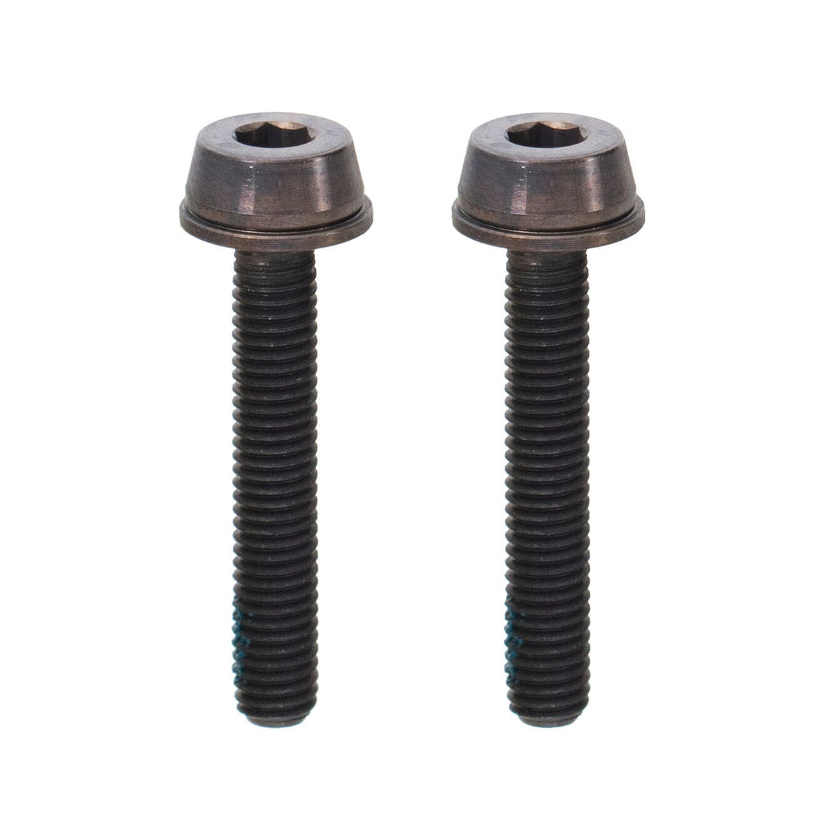 Campagnolo Mounting Bolts - Flat Mount Rear Brake (2Pcs)