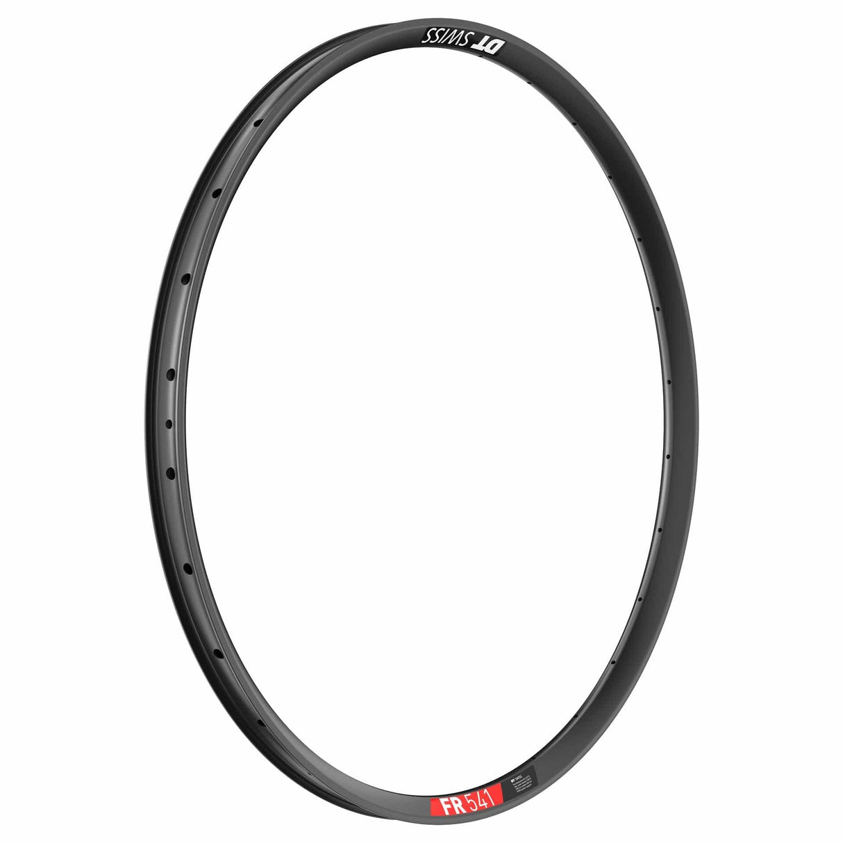 DT Swiss Rim