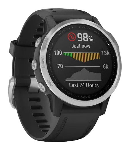 Garmin Fenix 6S Silver Black Band Watch