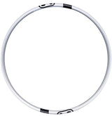 Crankbrothers Synthesis 29" Alloy 2.0 DH/E-MTB Front Rim Silver