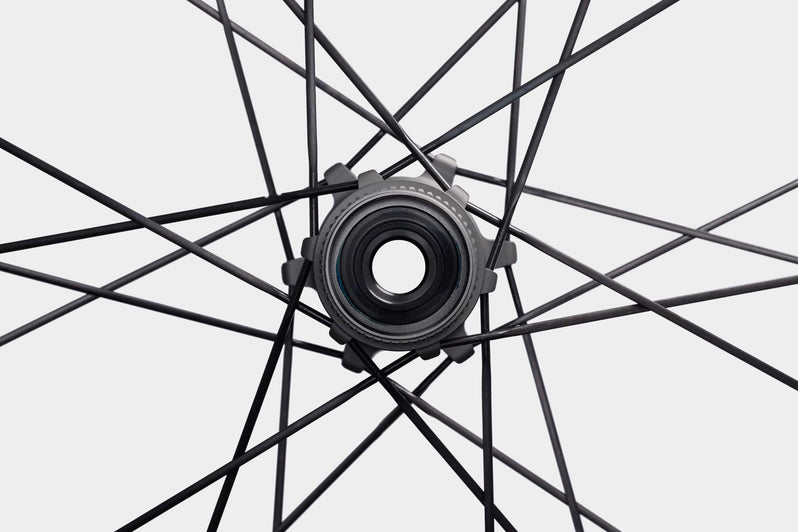 Princeton DUAL Disc Brake White Industries Campagnolo Carbon Wheelset Black
