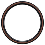 Schwalbe X-One Allround 700 x 33C Raceguard Addix Performance Line Bronze Skin TUBELESS Tyre