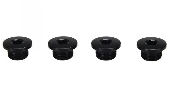 Campagnolo Chainring Bolts 13 Speed Ekar (4pcs)