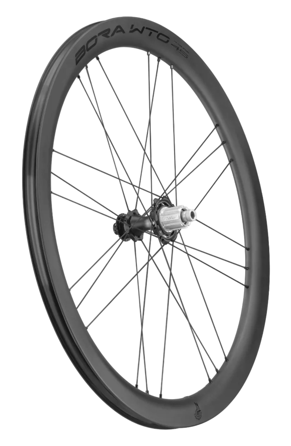 Campagnolo BORA WTO LE MATT 45 DB 2WF C23 Wheelset - N3W