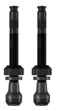 Schwalbe 40mm Tubeless Click Valve Pair