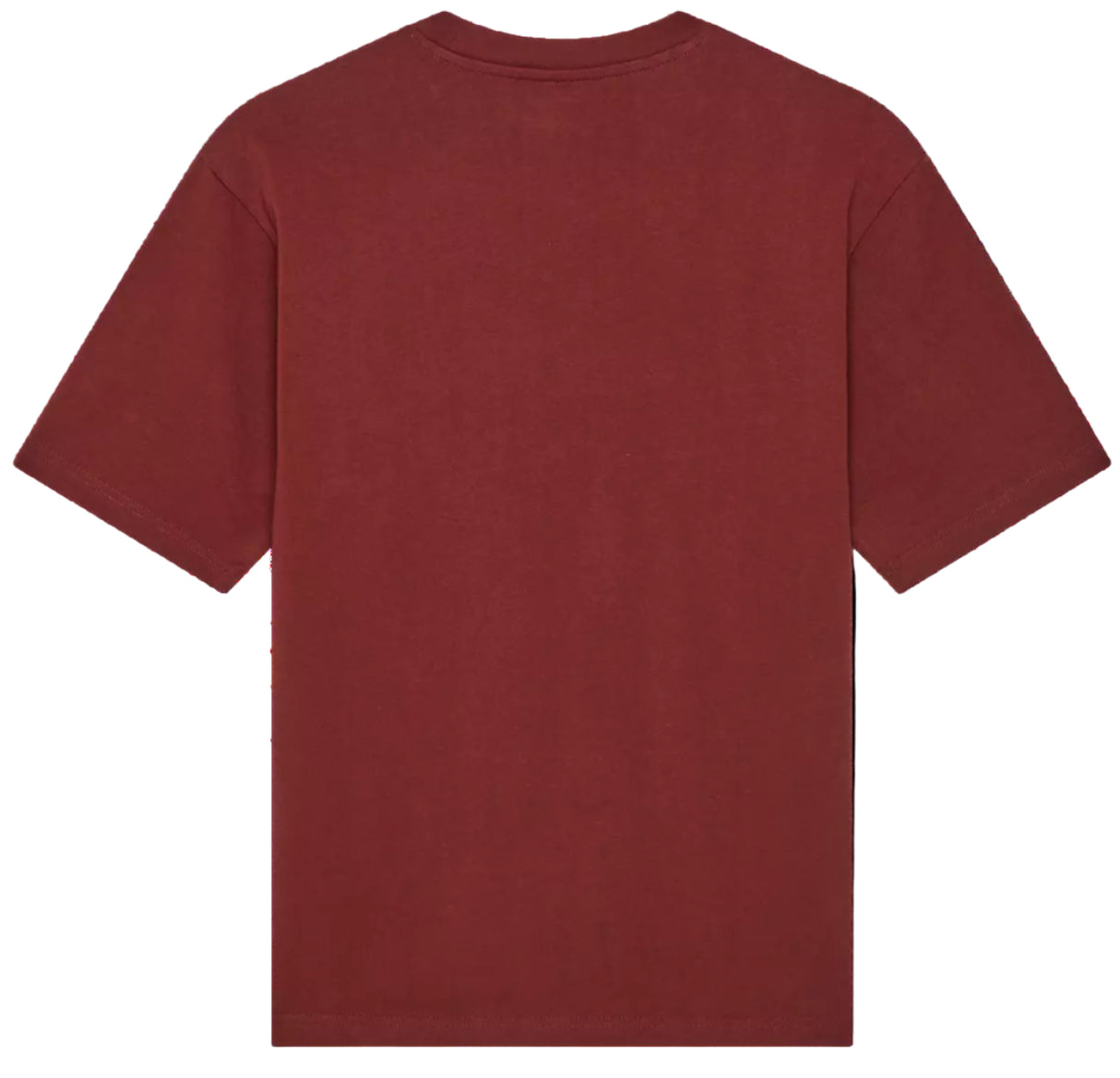Fox GPC Oversized SS Tee Rust BACK