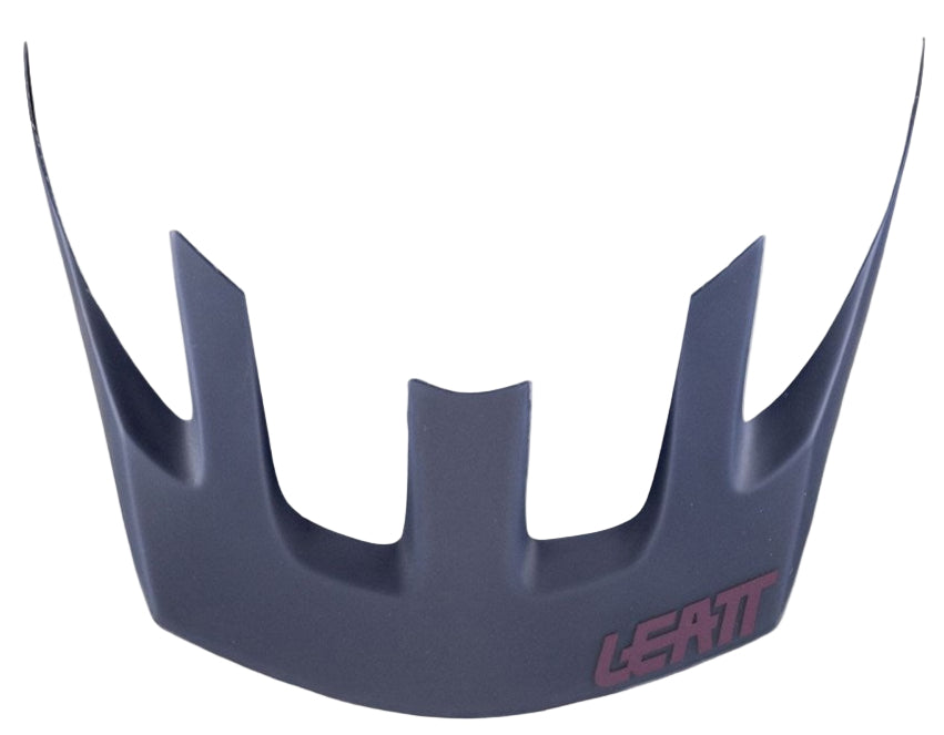 Leatt All Mtn 1.0 Dusk Visor