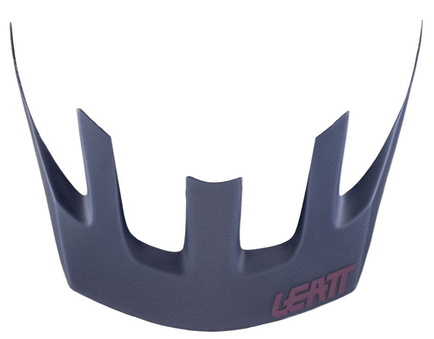 Leatt All Mtn 1.0 Visor Dusk Large