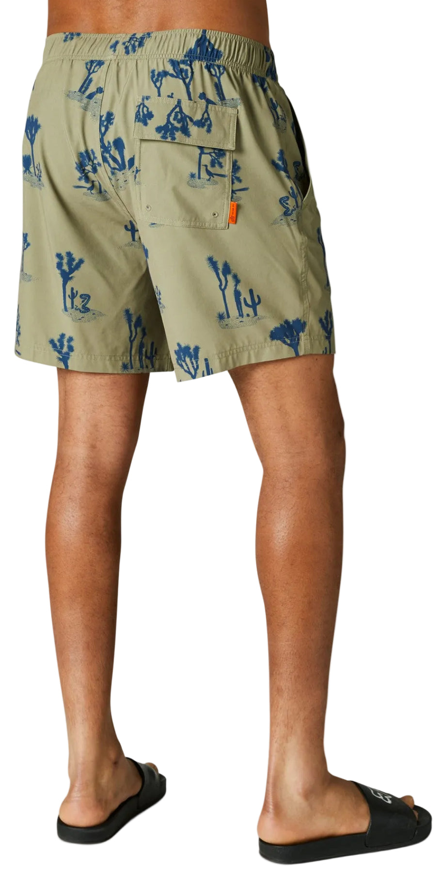 Fox BEATEN PATH VOLLEY SHORT Bark BACK
