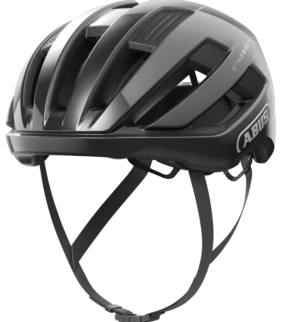 Abus Wingback Titan Helmet