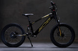 Azonic Flow 20" 36V 7.2Ah 750W Electric Balance Bike