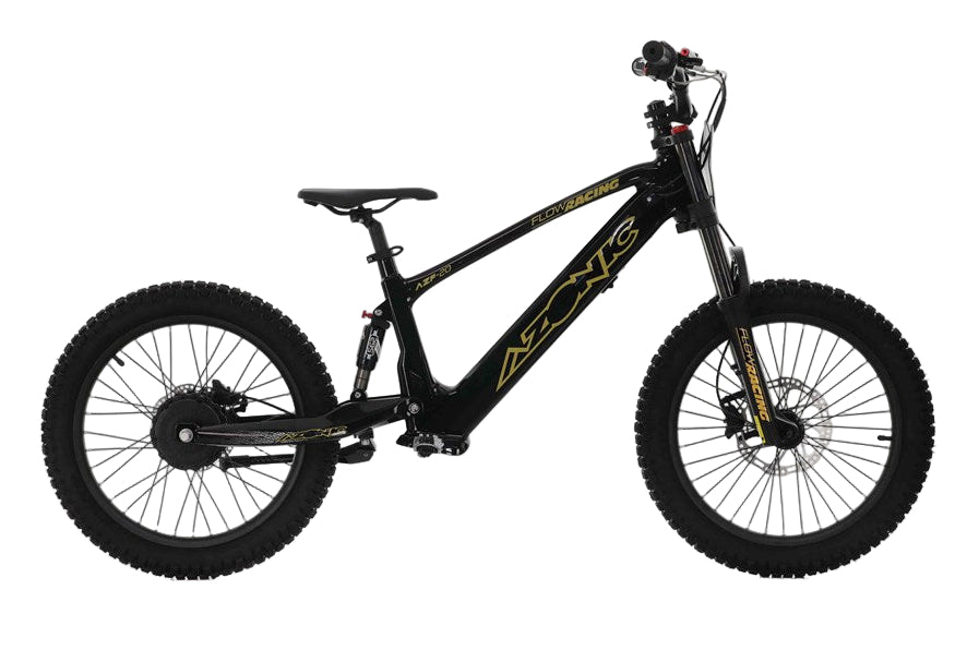 Azonic Flow 20" 36V 7.2Ah 750W Electric Balance Bike