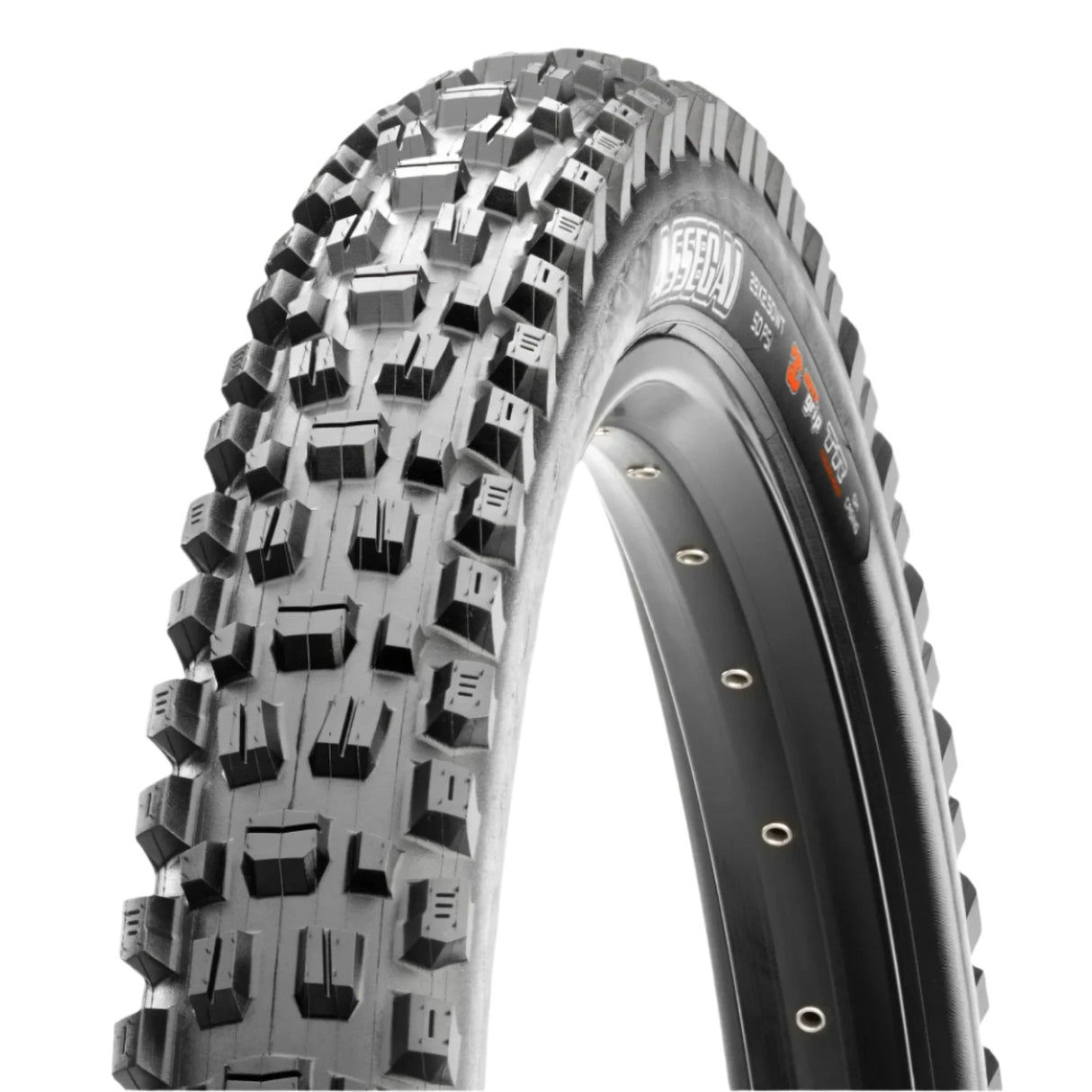Maxxis ASSEGAI 3C TERRA EXO TR FOLD 60TPI E-25 TYRE