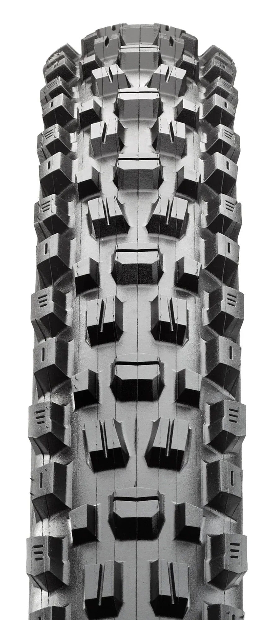 Maxxis ASSEGAI 3C TERRA EXO TR FOLD 60TPI E-25 TYRE 