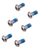 Avid Titanium Rotor Bolt Kit T25 Torx, Set of 6