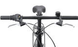Progear Nomad Folding Bike 20"