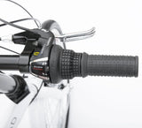 Progear Nomad Folding Bike 20"