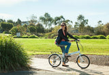 Progear Nomad Folding Bike 20"