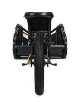 Burley Coho XC Bike Cargo Trailer
