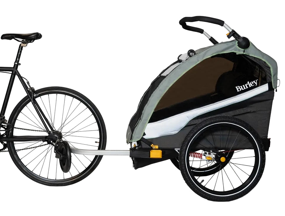 Burley D'Lite X Double Green Bike Trailer
